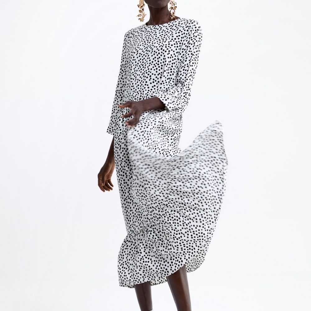 Zara Polka Dot Dress